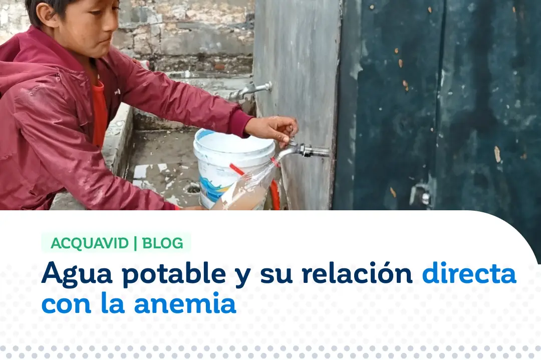 Agua potable y su relación directa con la anemia en el Perú ACQUAVID - BLOG